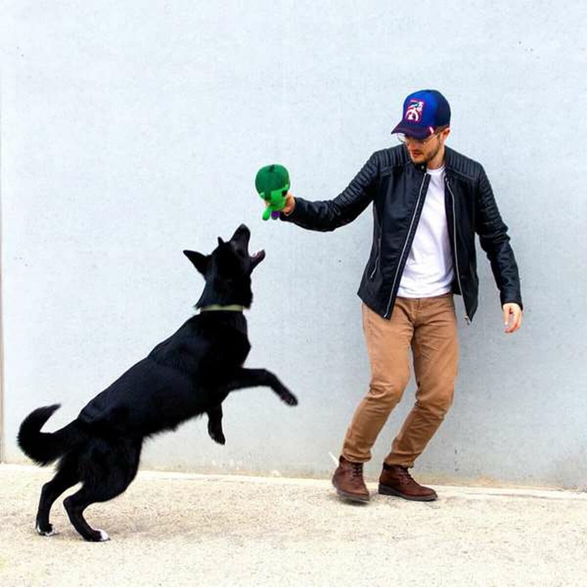 Suņu rotaļlieta The Avengers - Image 8