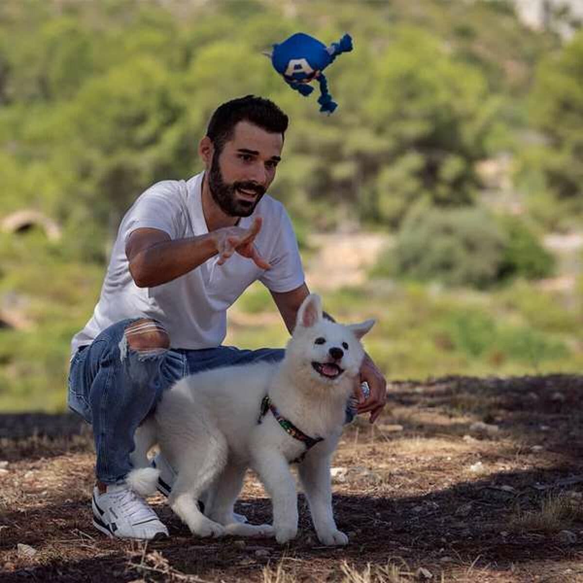 Šuns žaislas The Avengers Mėlyna 13,0 x 10,0 x 20,0 cm - Image 9