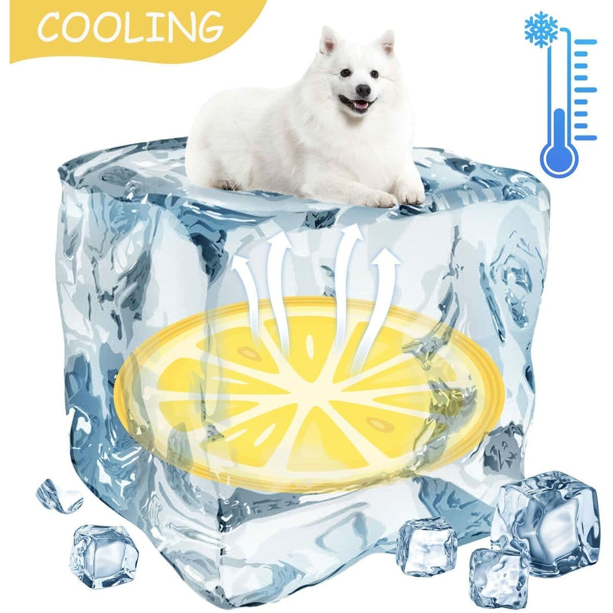 Vėsinantis kilimėlis naminiams gyvūnams Mascow Oranžinė (Naudoti B) - Image 7