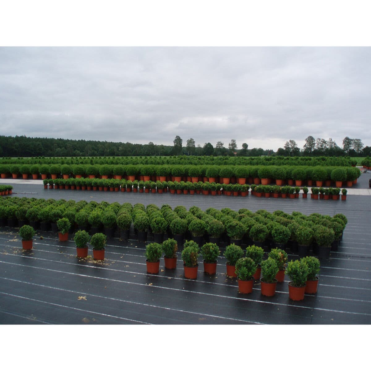 Malla de Ocultación Faura Verde - Image 2