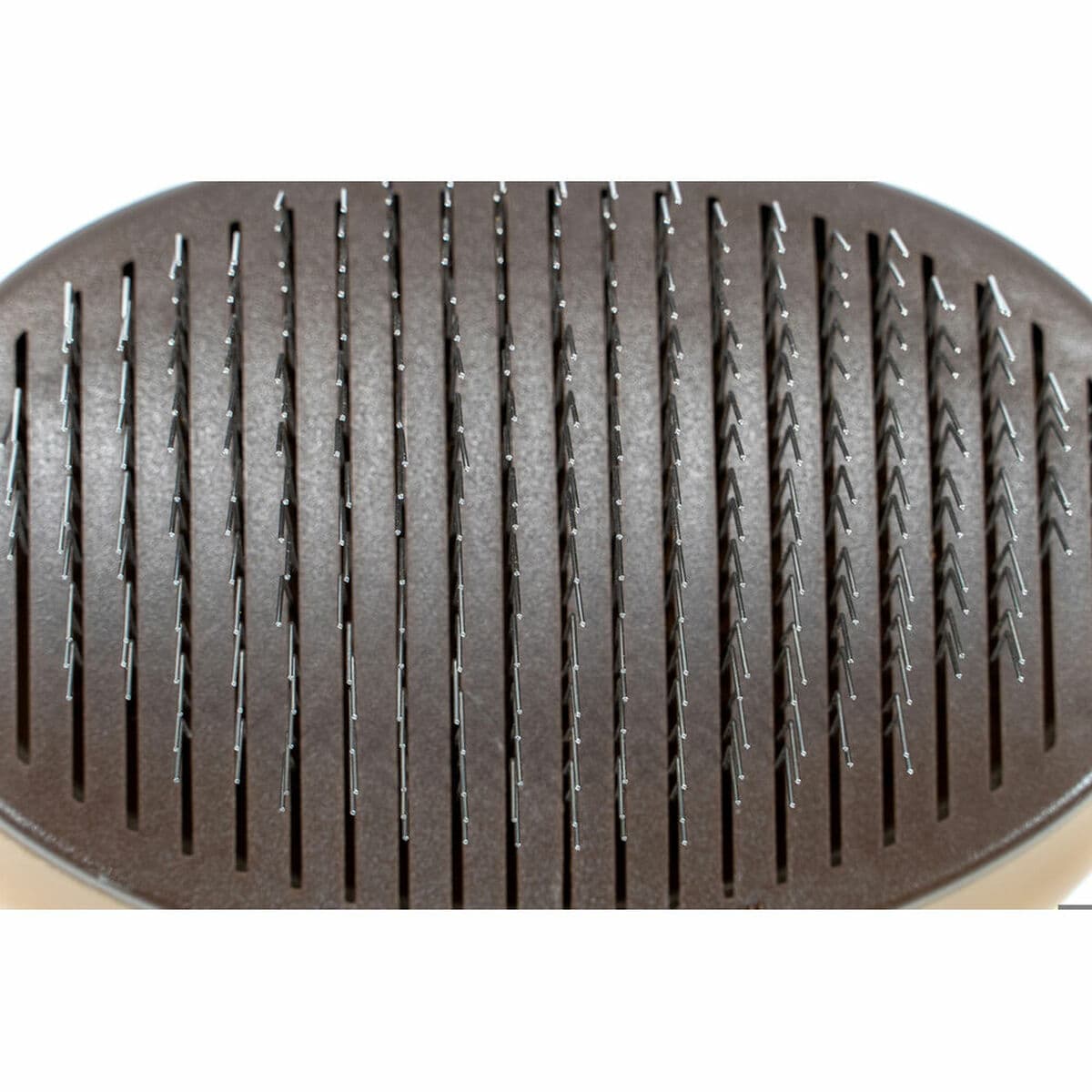 Hari Gloria Plastmass - Image 2