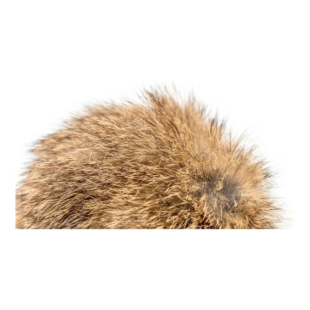 Caña para gatos Gloria Rogers Pompón (12 cm) - Image 5