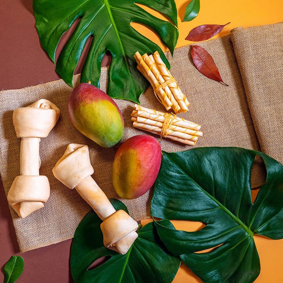 Užkandis šunims Gloria Rawhide - Image 3