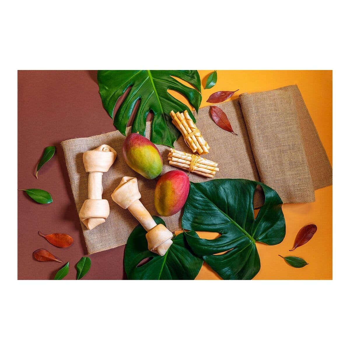 Užkandis šunims Gloria Snackys Rawhide 20-23 cm - Image 3