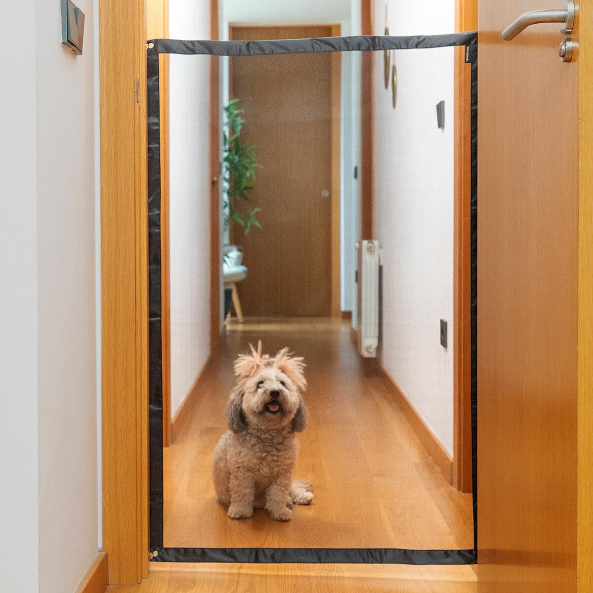 Mājdzīvnieku drošības tīkls Petinu InnovaGoods - Image 6