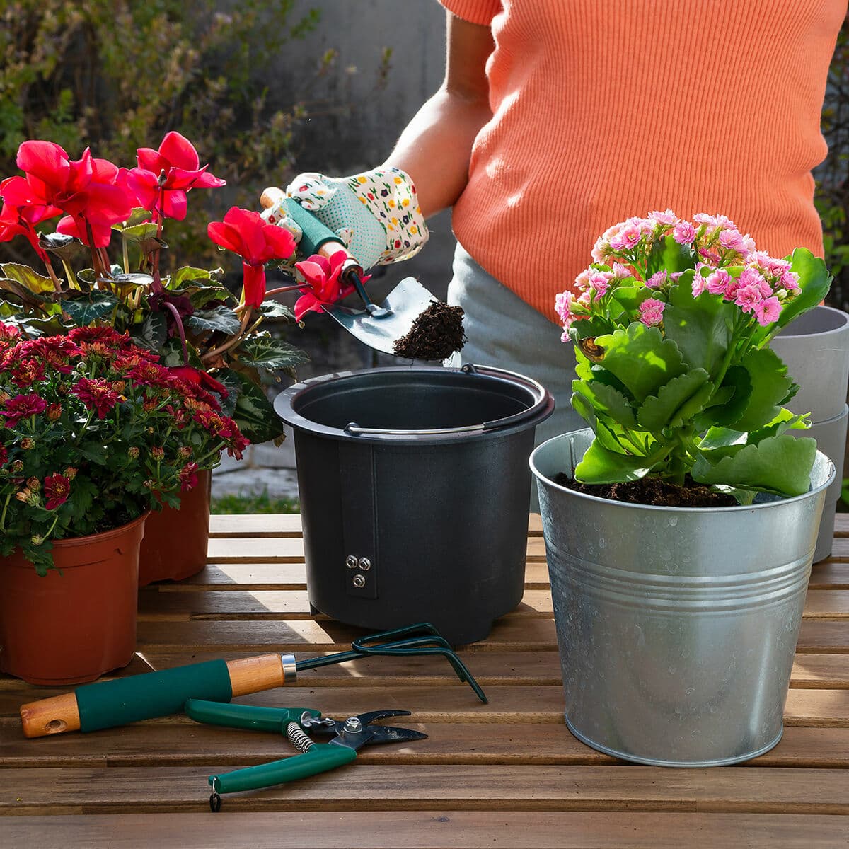 Elektrisk Kompostbehållare för Köket Ewooster InnovaGoods (Renoverade A) - Image 3