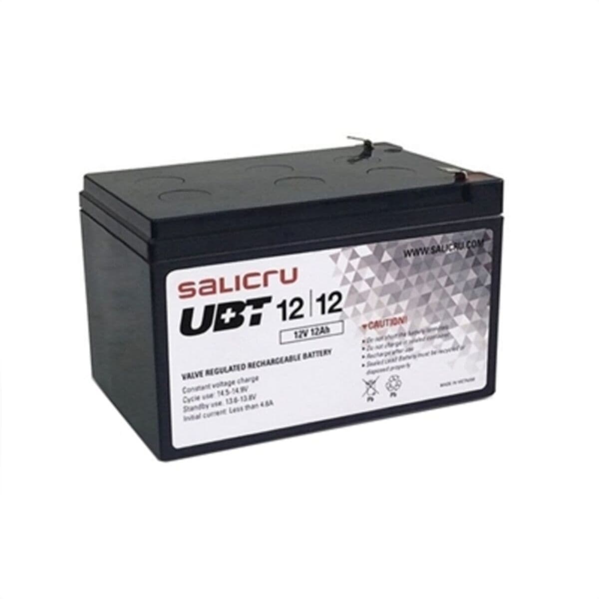 Batterie pour Système d'Alimentation Sans Interruption Salicru 013BS000003          12 ah 12 v
