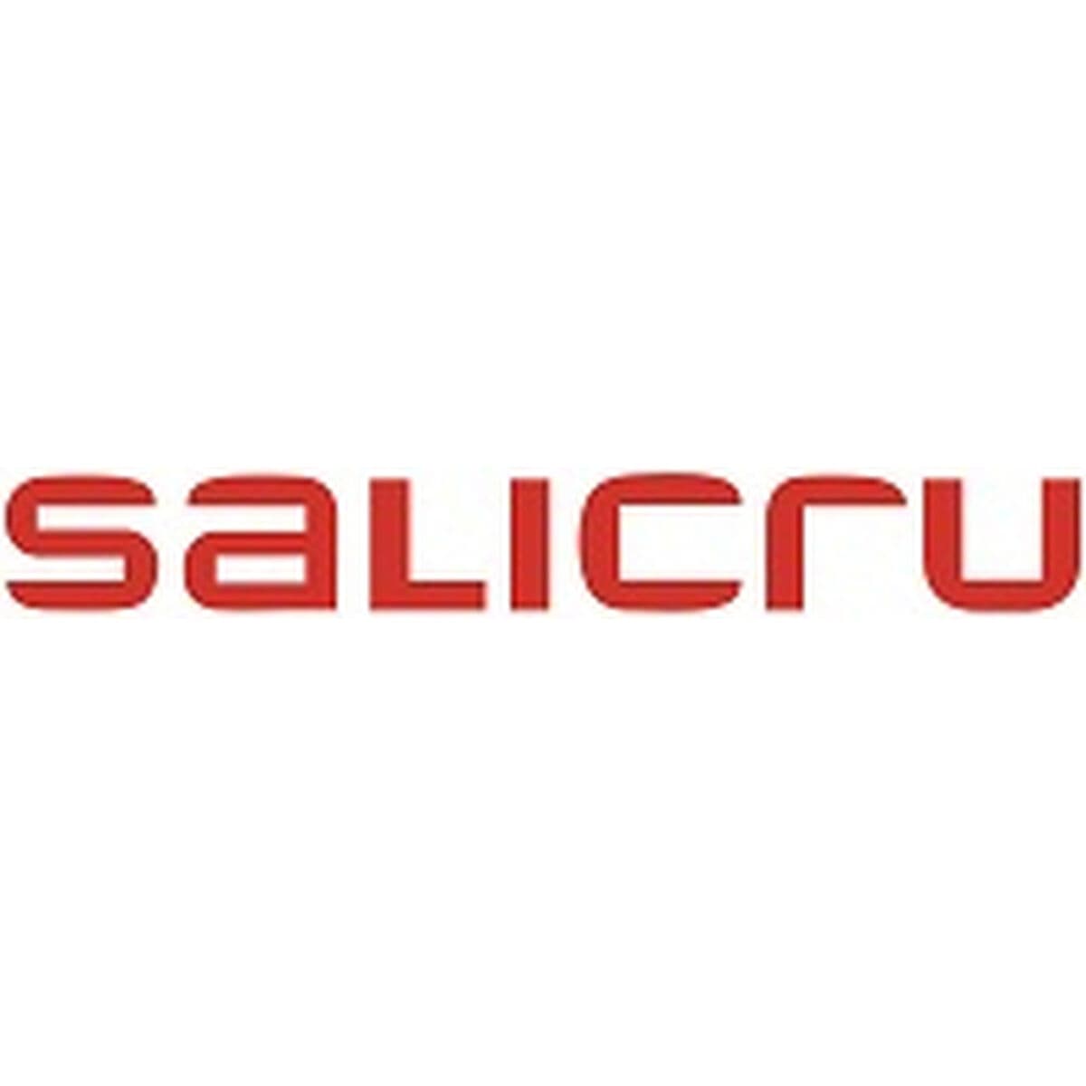 Système d'Alimentation Sans Interruption Interactif Salicru 663AA002254