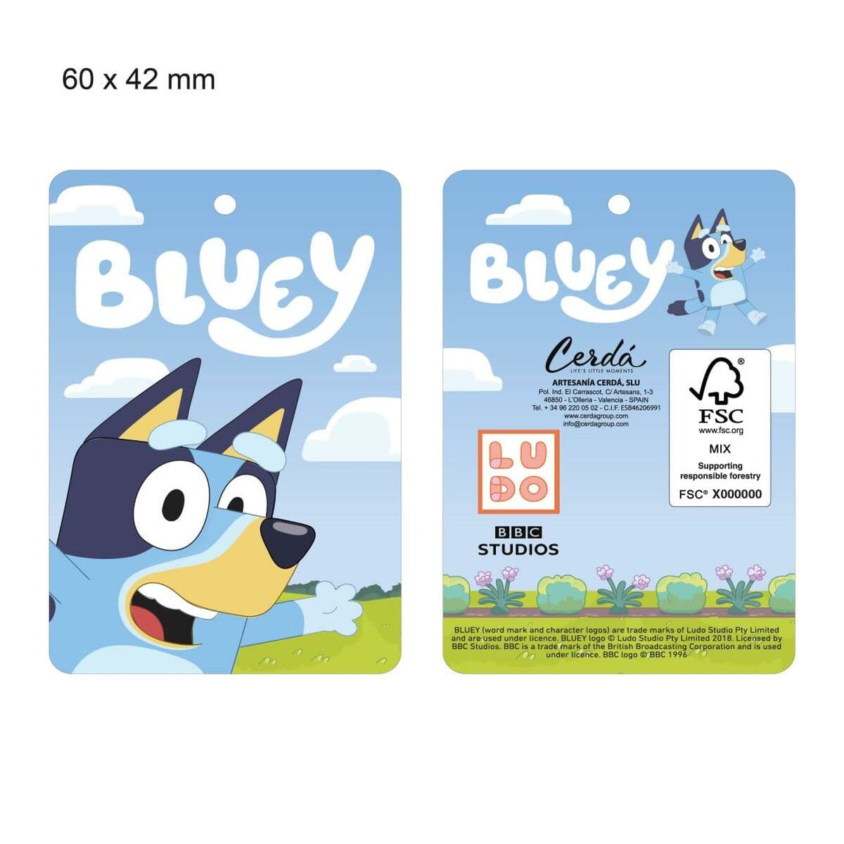 Hausschuhe Bluey Hellblau - Image 4