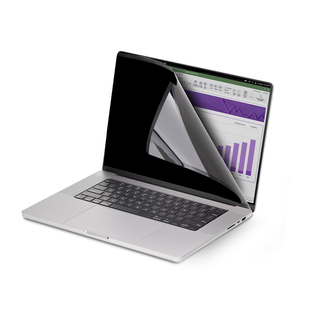 Câble HDMI Startech 142MM-PRIVACY-SCREEN Noir - Image 8