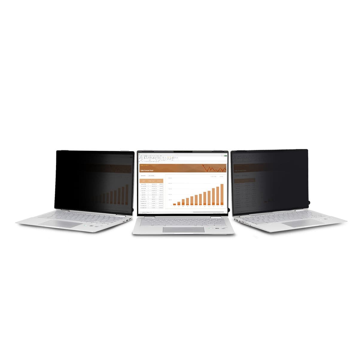 Câble HDMI Startech 14LT-PRIVACY-SCREEN Noir - Image 9