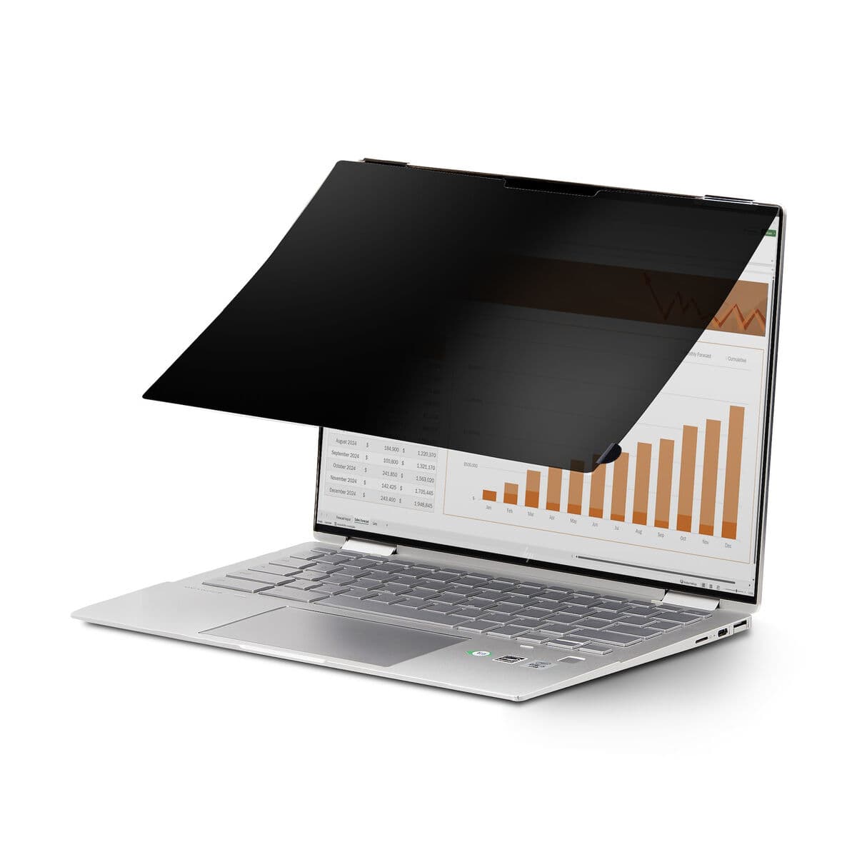 Câble HDMI Startech 14LT-PRIVACY-SCREEN Noir - Image 8