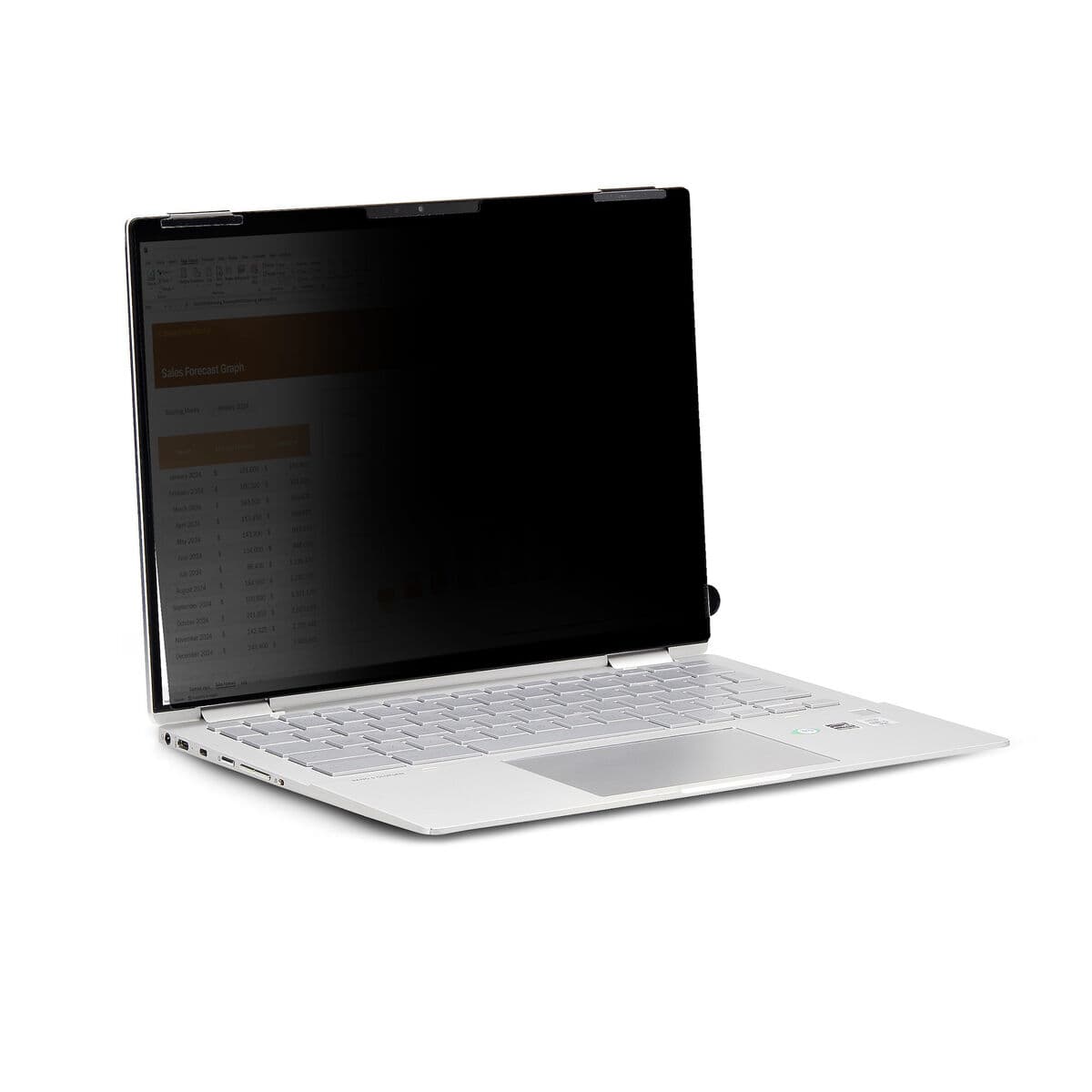 Câble HDMI Startech 14LT6-PRIVACY-SCREEN Noir - Image 14