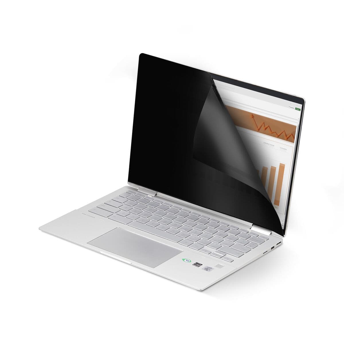 Câble HDMI Startech 14LT6-PRIVACY-SCREEN Noir - Image 15