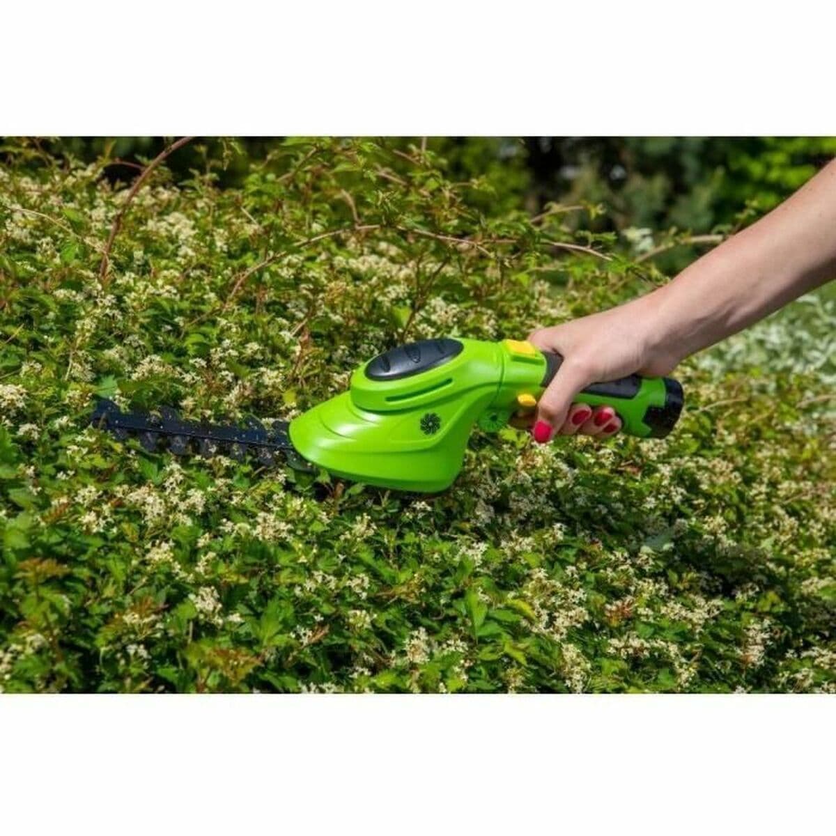 Sax Fieldmann - Image 4