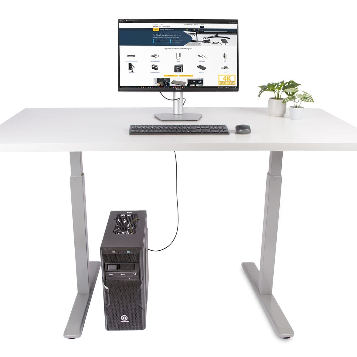 DisplayPort-zu-HDMI-Adapter Startech 6F-DP-HDMI-4K60-HDR Schwarz 2 m - Image 5