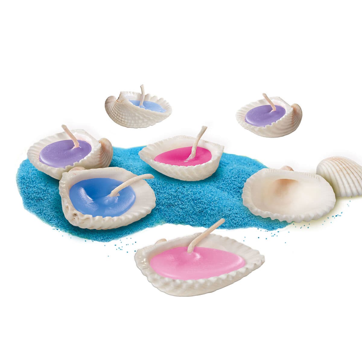 Velas SES Creative Velas con conchas - Inspired by nature - Image 3