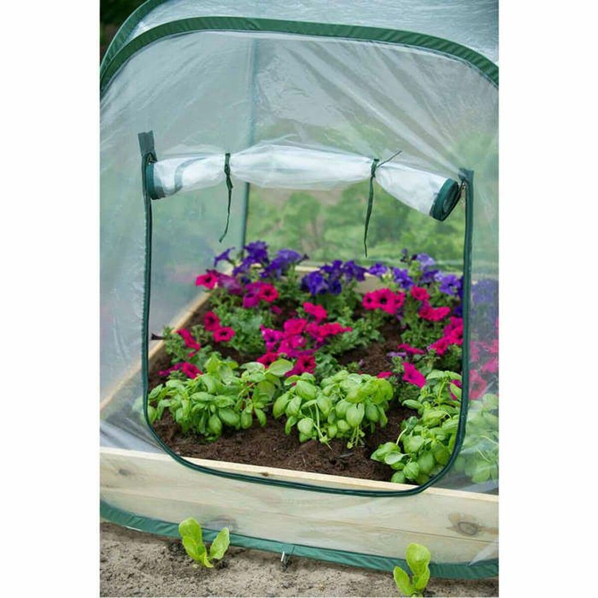 Invernadero Nature Blanco Polietileno - Image 3