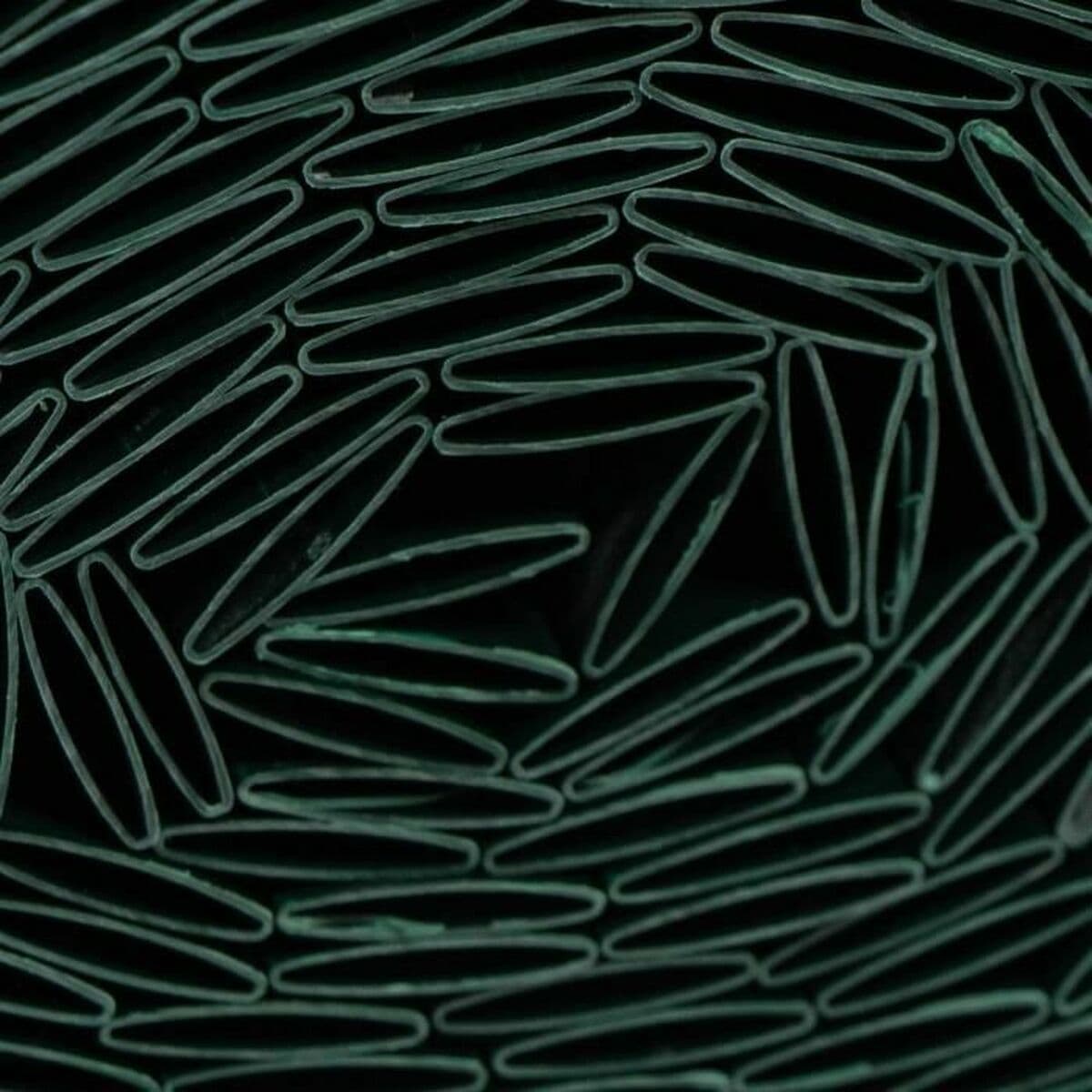 Plasă de camuflaj Nature Verde - Image 2