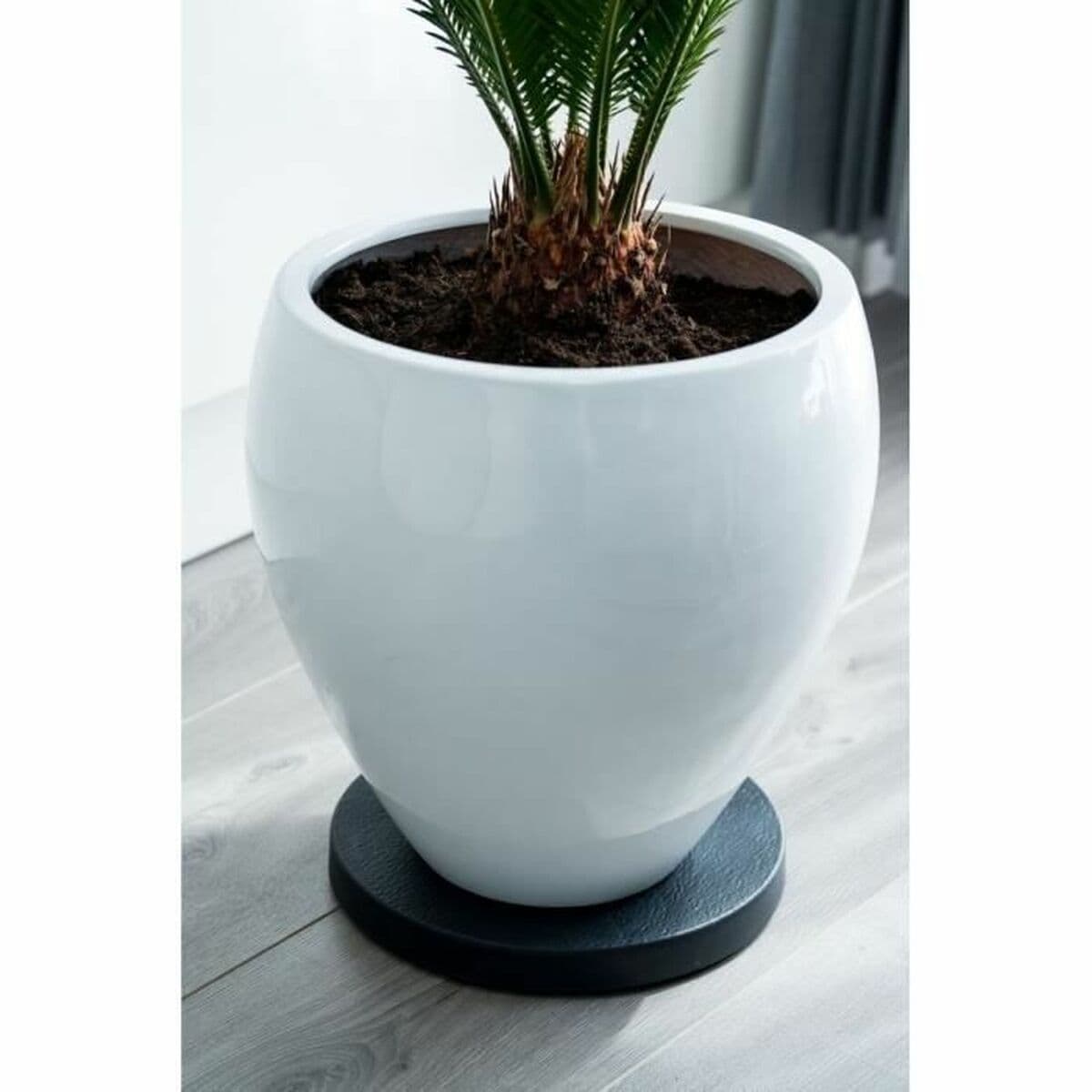 Soporte con Ruedas para Macetas Nature Negro Polipropileno (Ø 29,2 x 4 cm) - Image 3