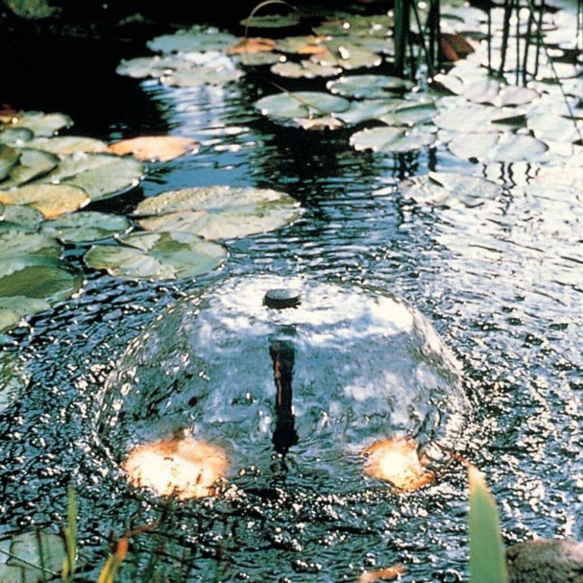 Bomba de agua Ubbink Xtra 900 - Image 5