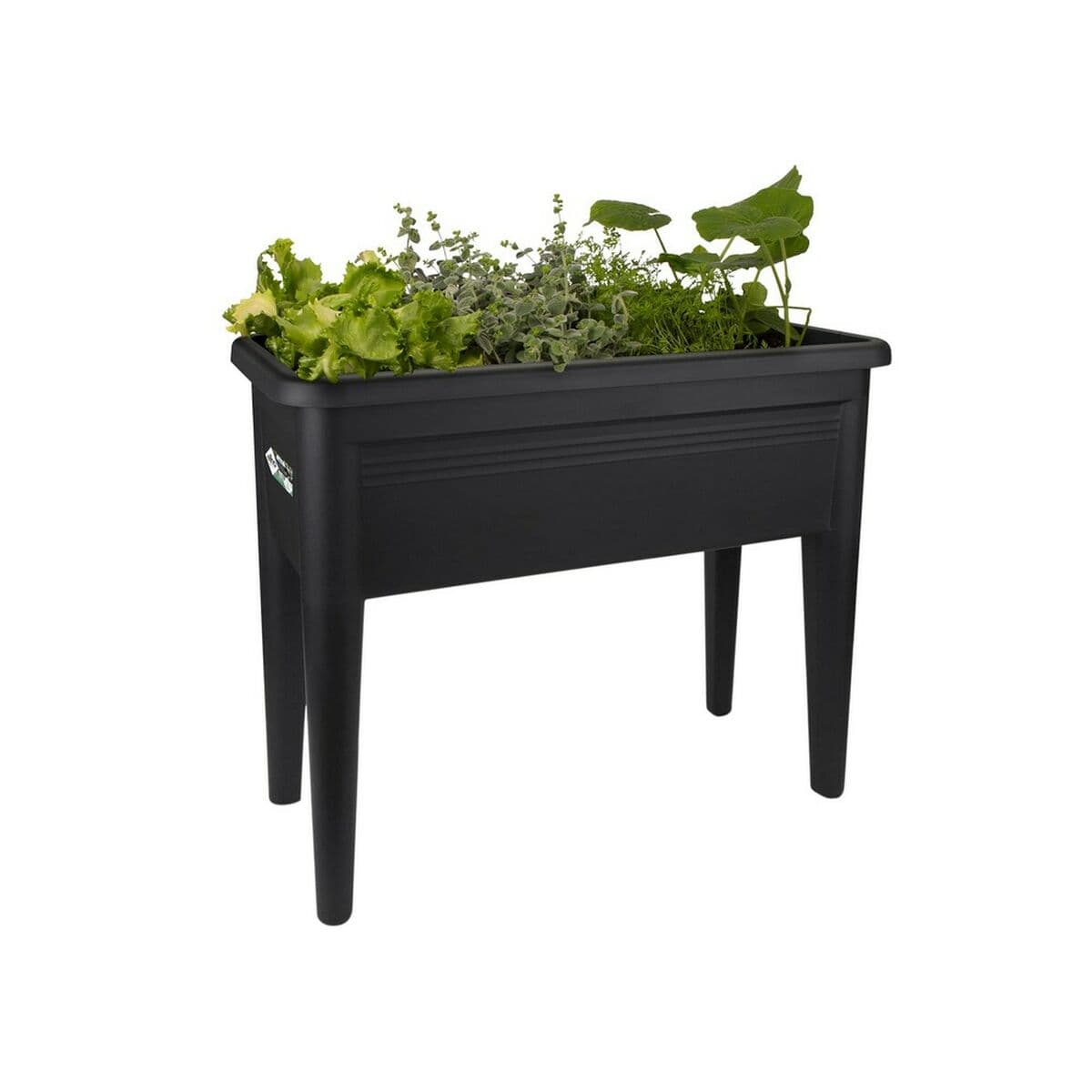 Soporte para plantar Elho Green Basics XXL Negro Plástico 75 cm - Image 6