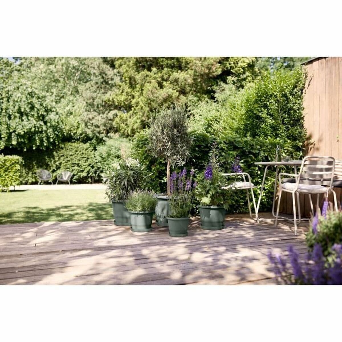 Maceta Elho Amiga Round 47 Verde 47 x 35 cm - Image 5