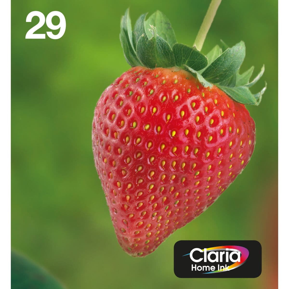 Cartouche d'encre originale Epson Multipack 4-colours 29 EasyMail - Image 6