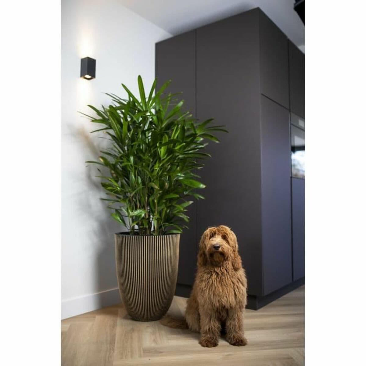 Planter Capi Europe Golden Plastic Circular Ø 27 cm - Image 3