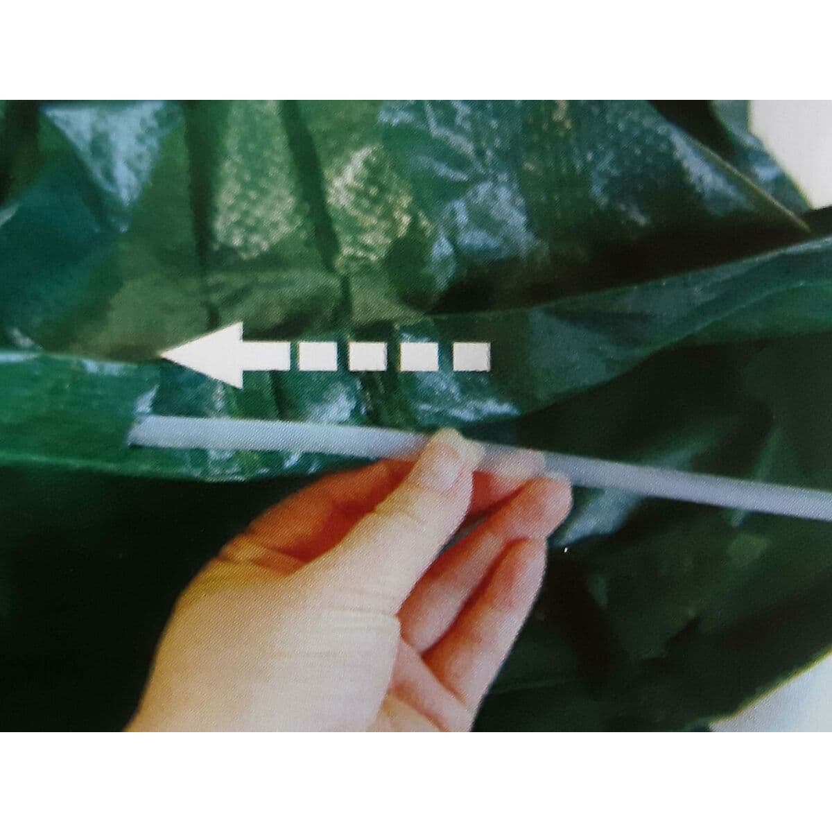 Cubo de basura Progarden Verde - Image 3