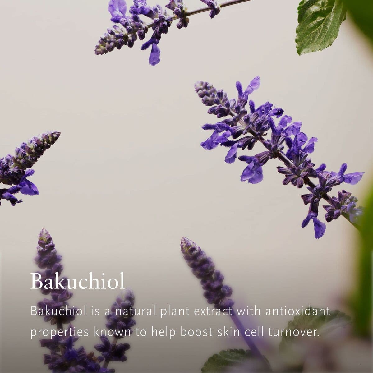 Set de Belleza Rituals THE RITUAL OF NAMASTE 5 Piezas - Image 4