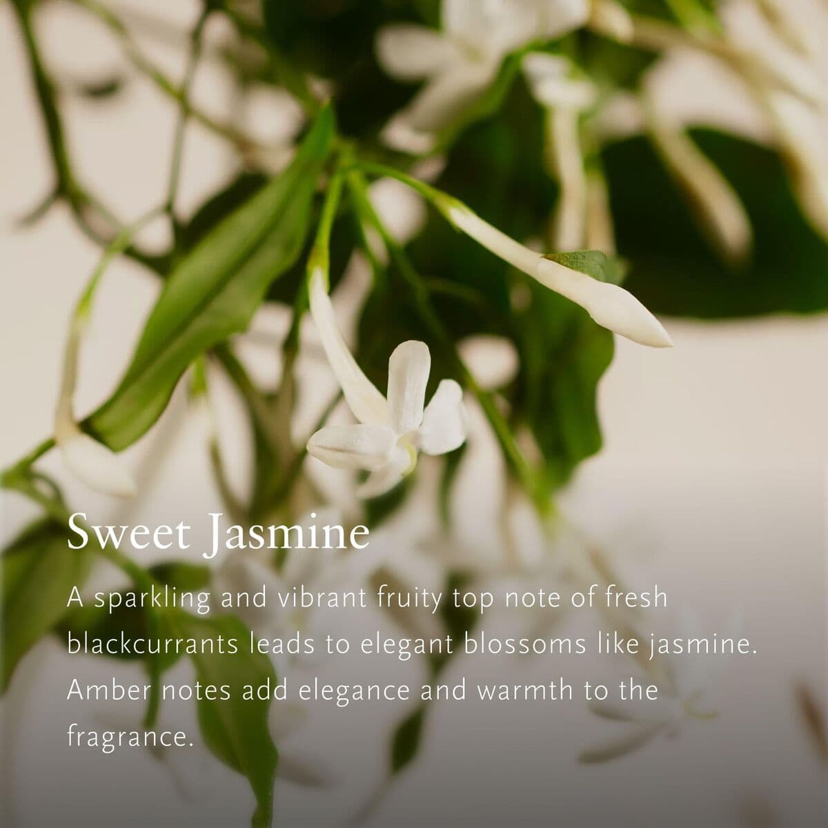 Osvježivač Zraka Rituals PRIVATE COLLECTION - Image 4