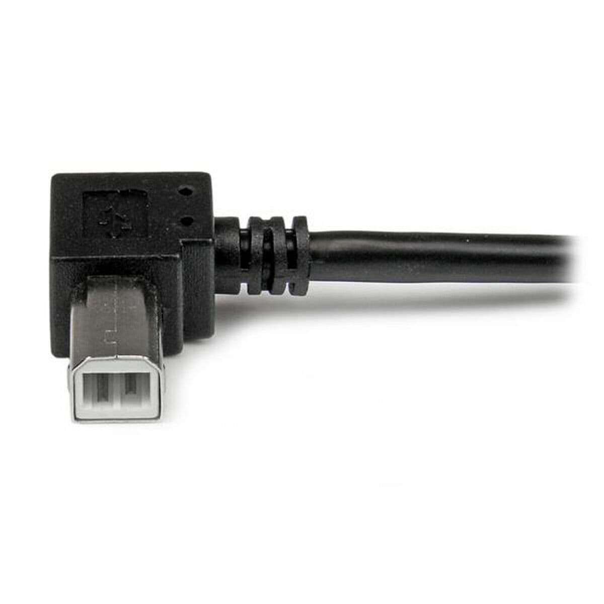 Câble USB A vers USB B Startech USBAB2MR Noir - Image 2