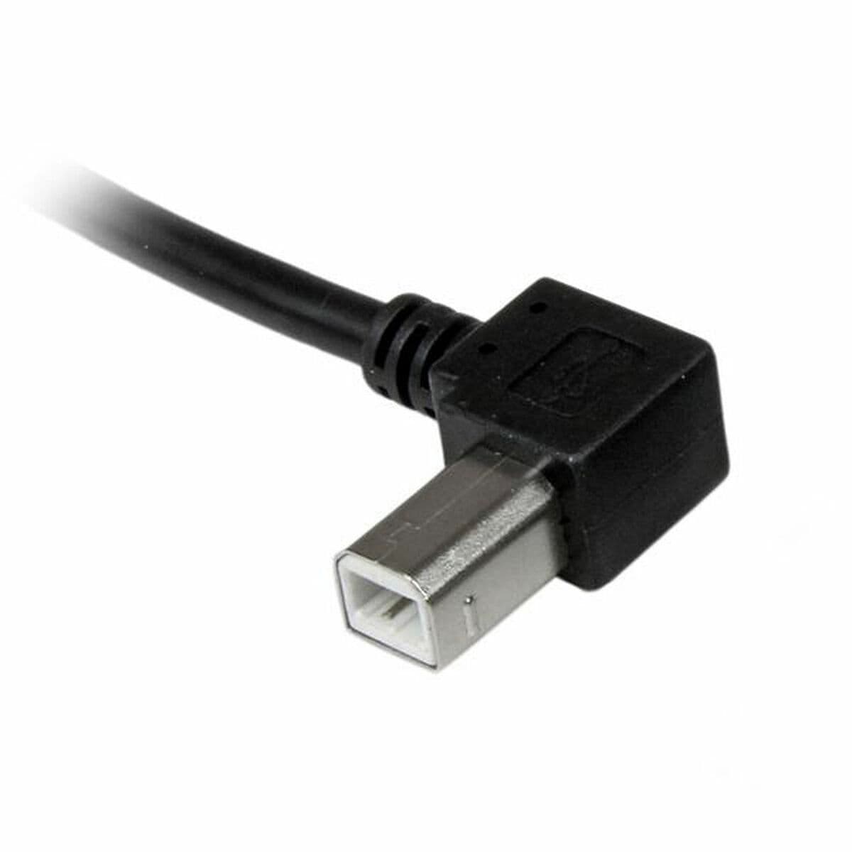 Câble USB A vers USB B Startech USBAB2ML             Noir - Image 2
