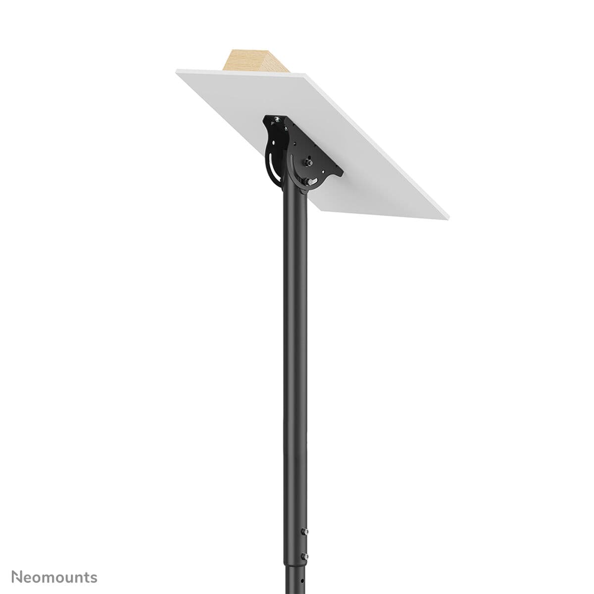 Support de table d'écran Neomounts CL35-340BL12 50 kg 23"-42" - Image 12