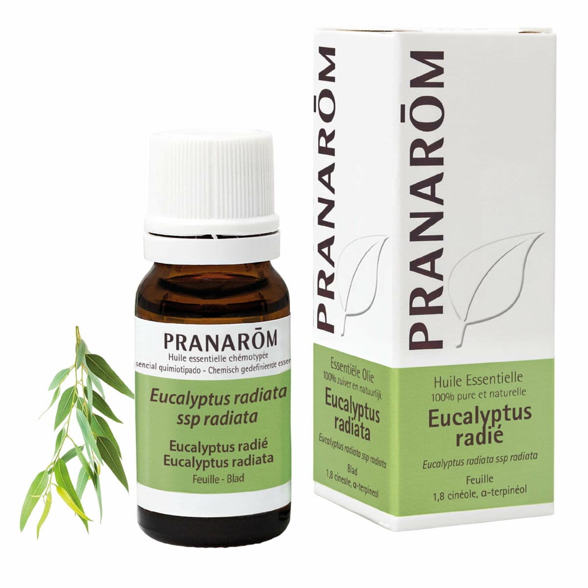 Aceite Esencial Pranarôm   10 ml Eucalipto - Image 3