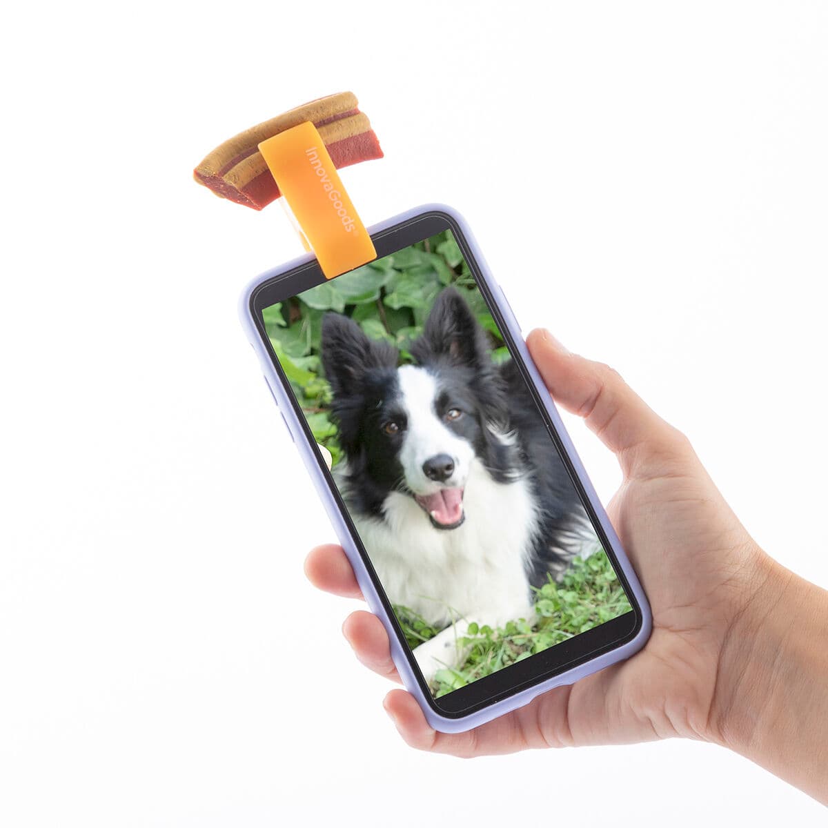 Clip de Selfies para Mascotas Pefie InnovaGoods - Image 6