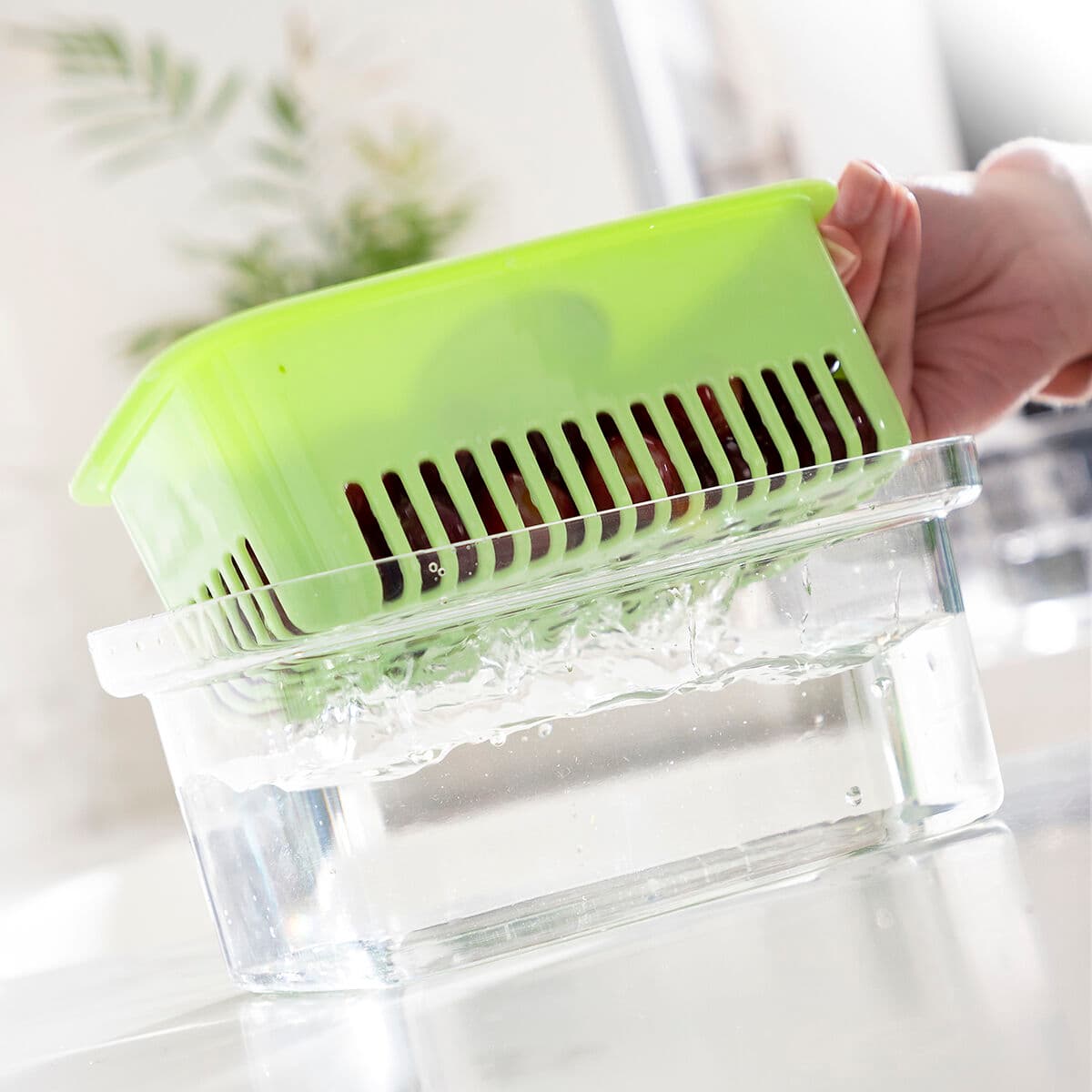 Recipiente Conservador de Alimentos Prefo InnovaGoods - Image 6