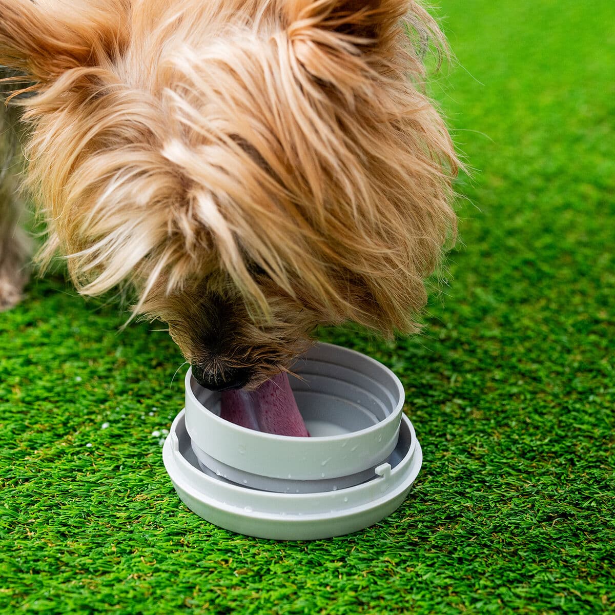 Utdragbart hundkoppel 6-i-1 Leashic InnovaGoods - Image 7