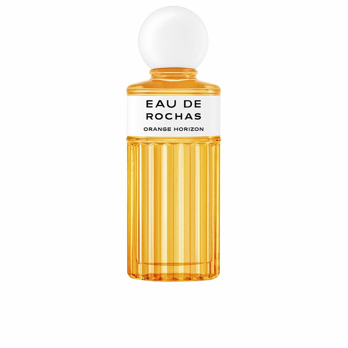 Moterų kvepalai Rochas EAU DE ROCHAS EDT 100 ml