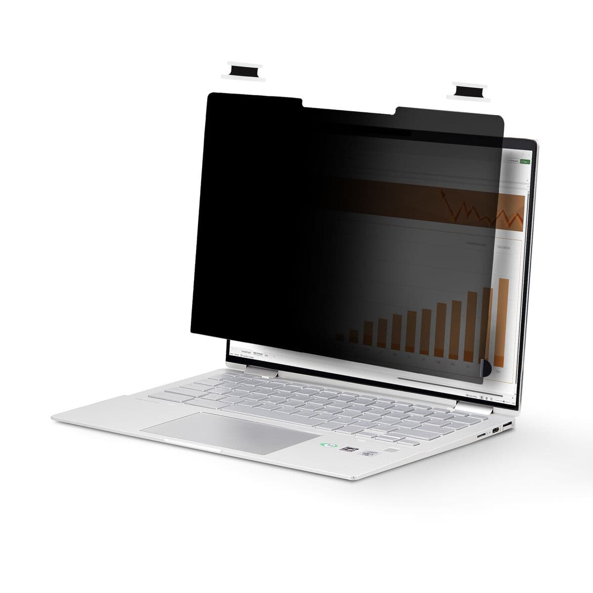 Câble HDMI Startech 14LT6-PRIVACY-SCREEN Noir