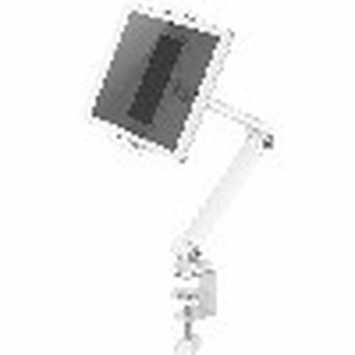 Support mural Neomounts DS15-545WH1 4,7" 12,9"