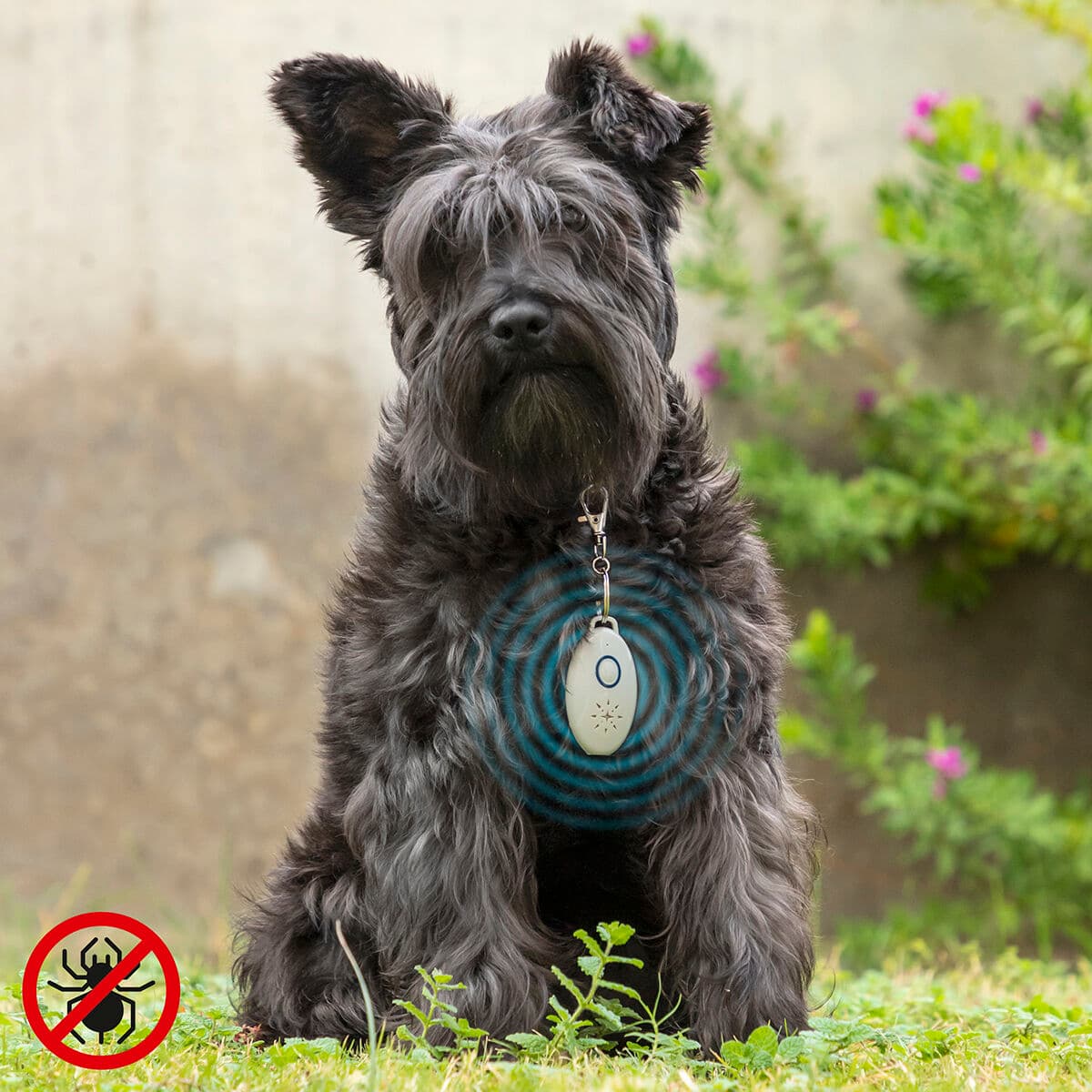 Uzlādējams Parazītu Atbaidīšanas Līdzeklis Mājdzīvniekiem Ar Ultraskaņu PetRep InnovaGoods